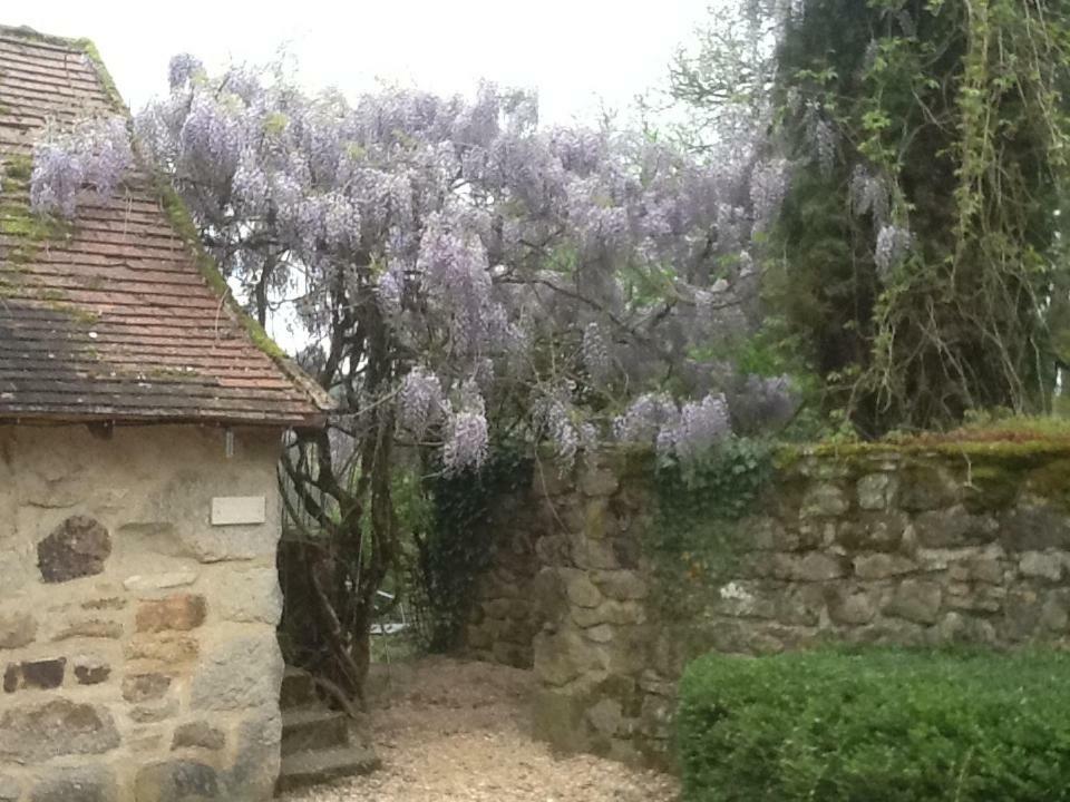 Domaine De Sautou Hotell Castanet  Exteriör bild